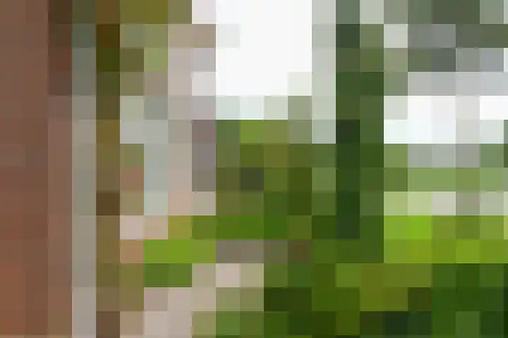 Botter 9 Zeewolde thumbnail 31