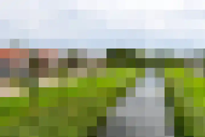 Botter 9 Zeewolde thumbnail 33
