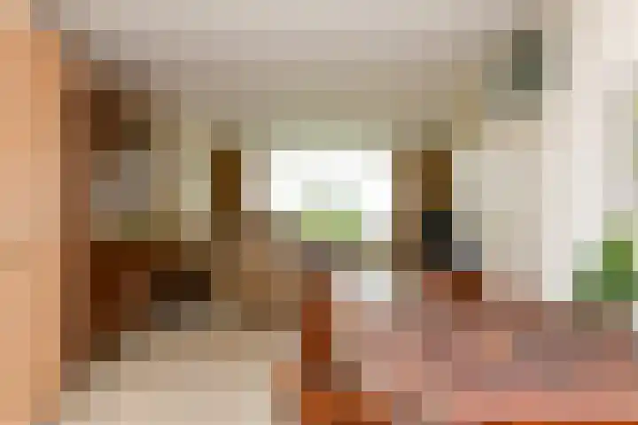 Botter 9 Zeewolde thumbnail 7