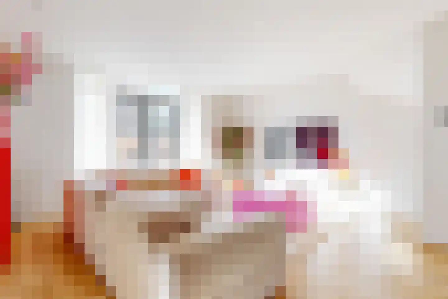 Botter acker 2 Heemskerk thumbnail 10