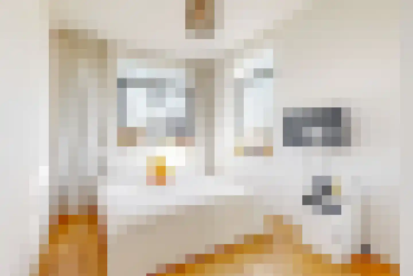 Botter acker 2 Heemskerk thumbnail 26
