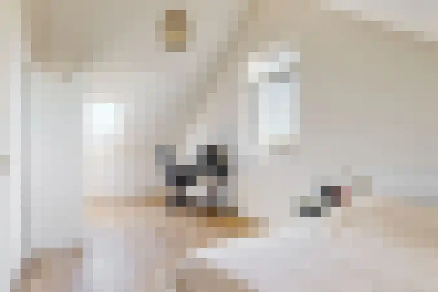 Botter acker 2 Heemskerk thumbnail 30