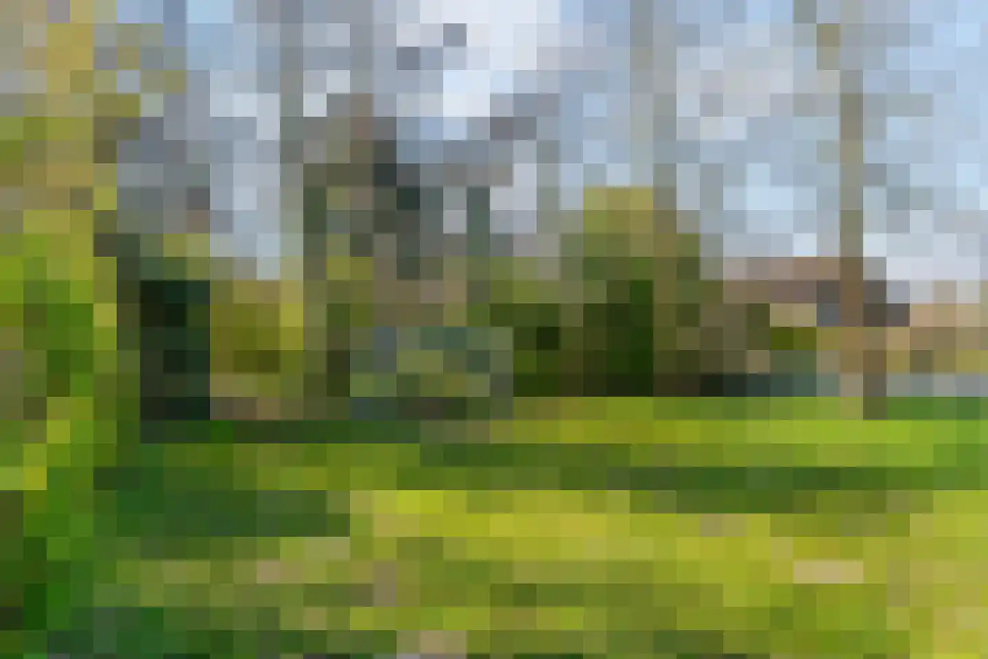 Botter acker 2 Heemskerk thumbnail 35