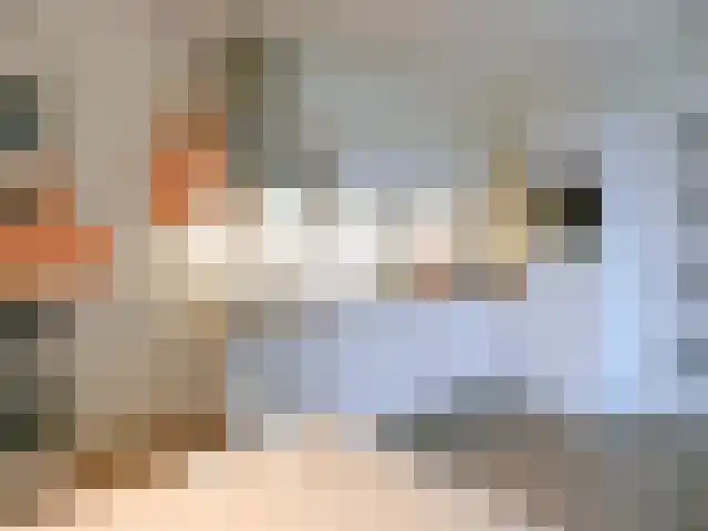 Botterboulevard 185 Haarlem thumbnail 6