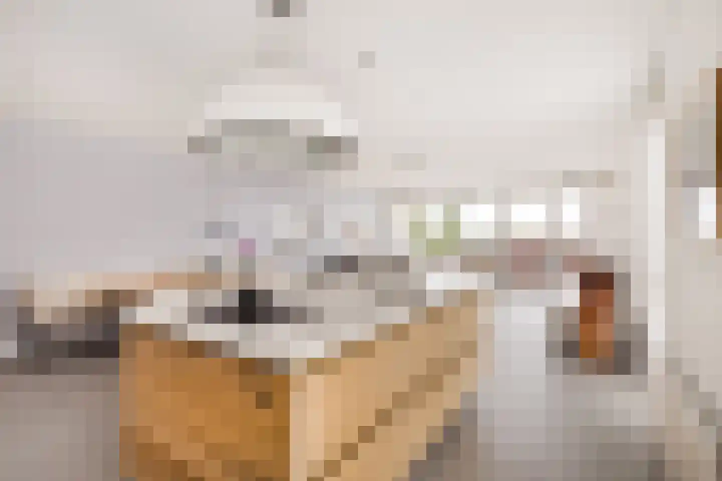 Botterboulevard 50 Haarlem thumbnail 14