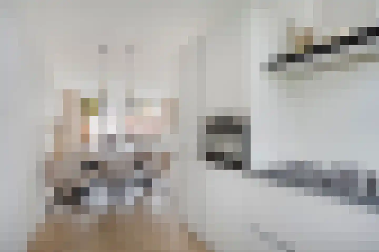 Botterboulevard 50 Haarlem thumbnail 7