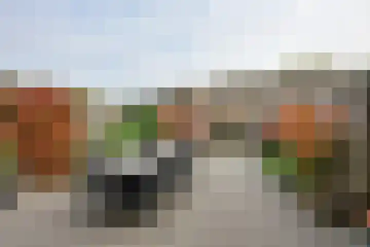 Botterhof 10 Rozenburg thumbnail 17