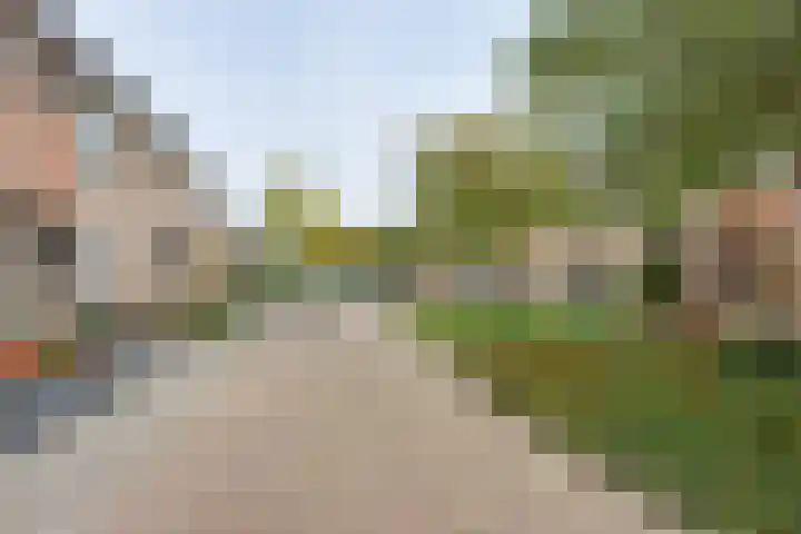 Botterhof 10 Rozenburg thumbnail 8