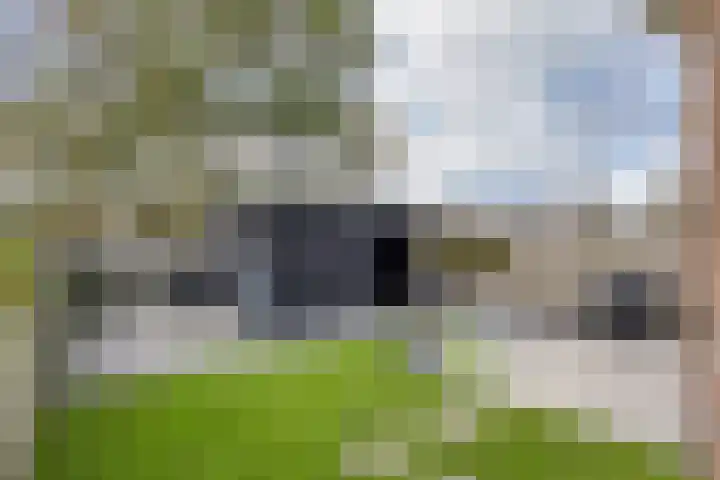 Botterhof 28 Harlingen thumbnail 13