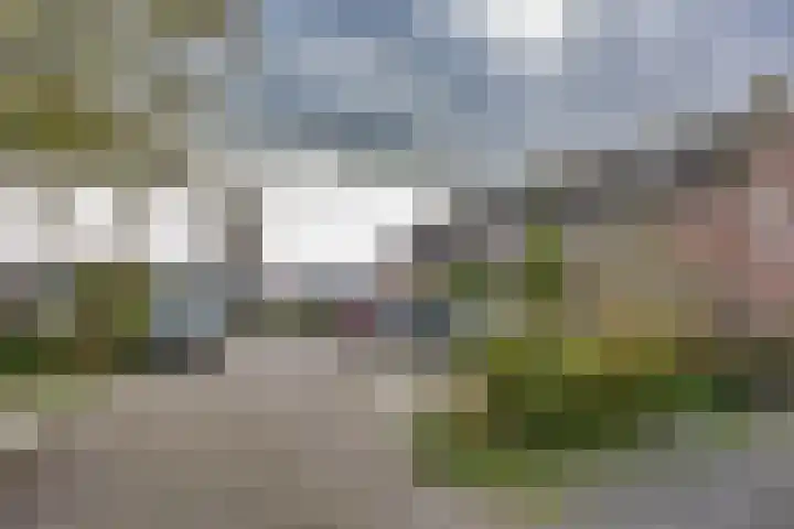 Botterhof 28 Harlingen thumbnail 5