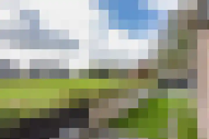 Botterhof 28 Harlingen thumbnail 7