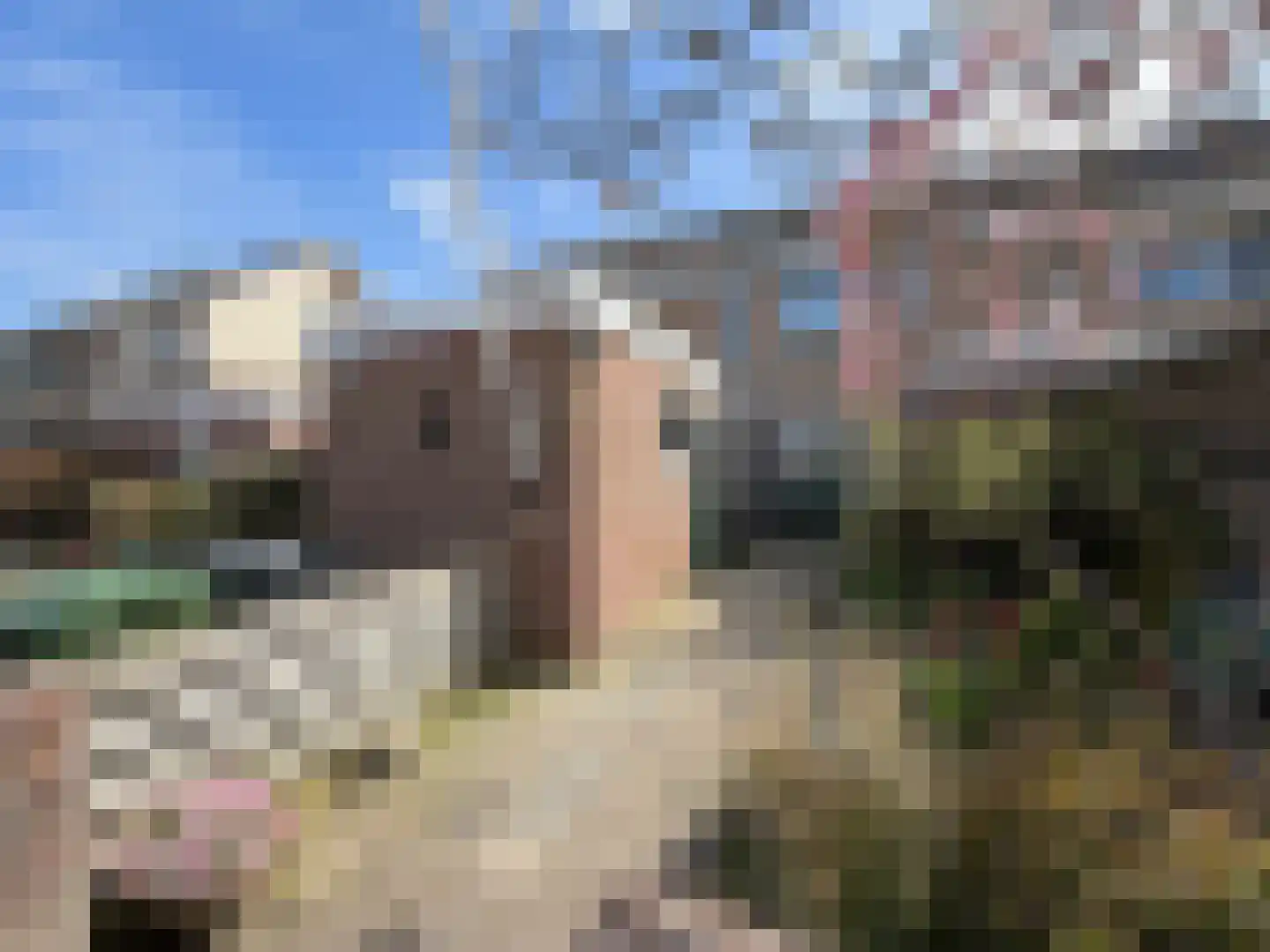 Botterhof 46 Harlingen thumbnail 10