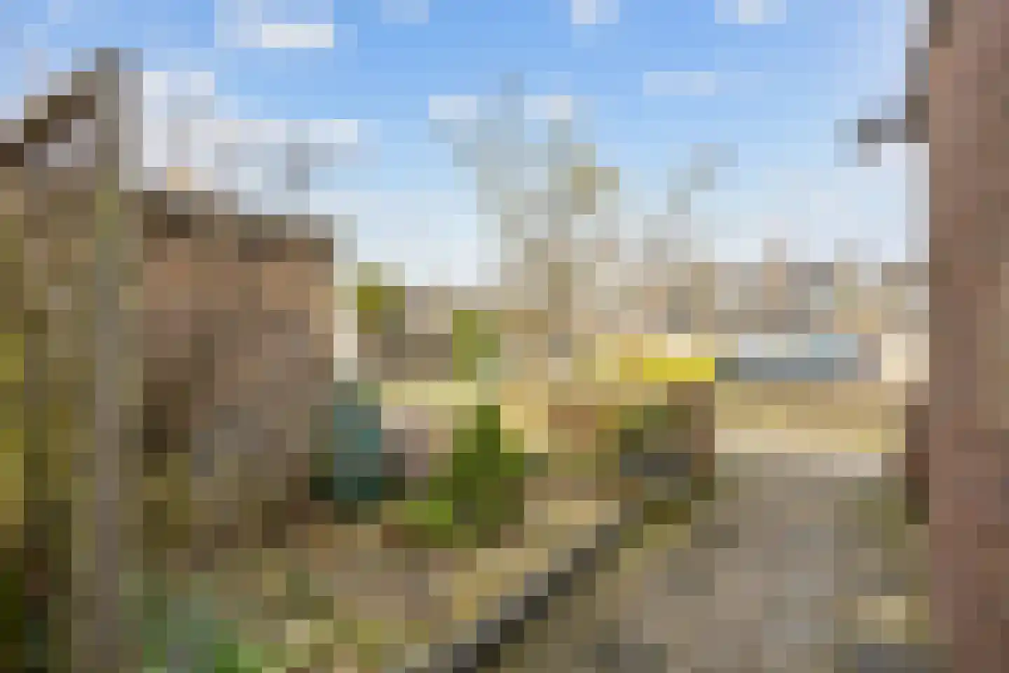 Botterhof 46 Harlingen thumbnail 11