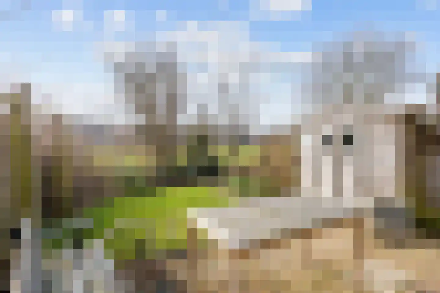 Botterhof 46 Harlingen thumbnail 25