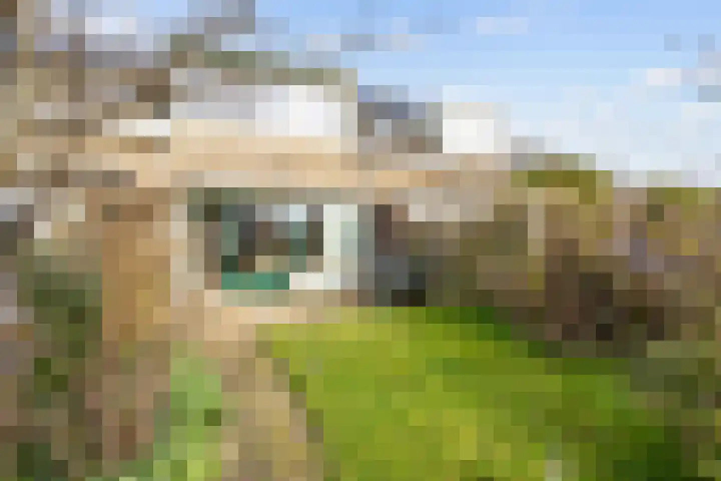 Botterhof 46 Harlingen thumbnail 6