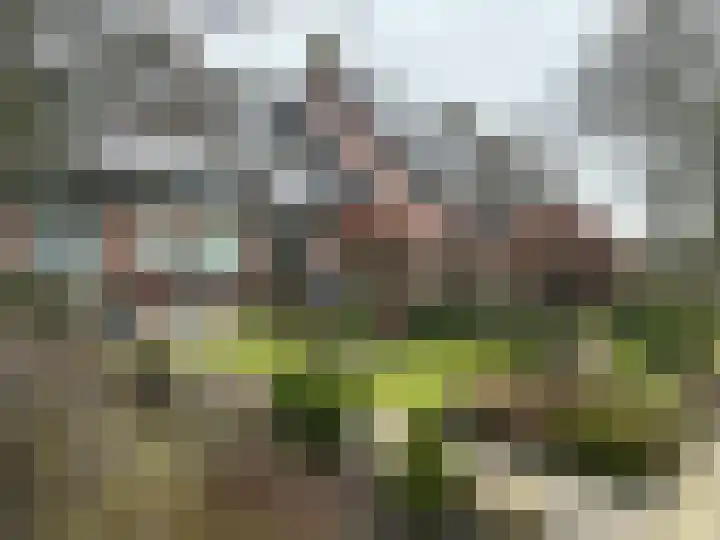 Botterhof 5 Harlingen thumbnail 14