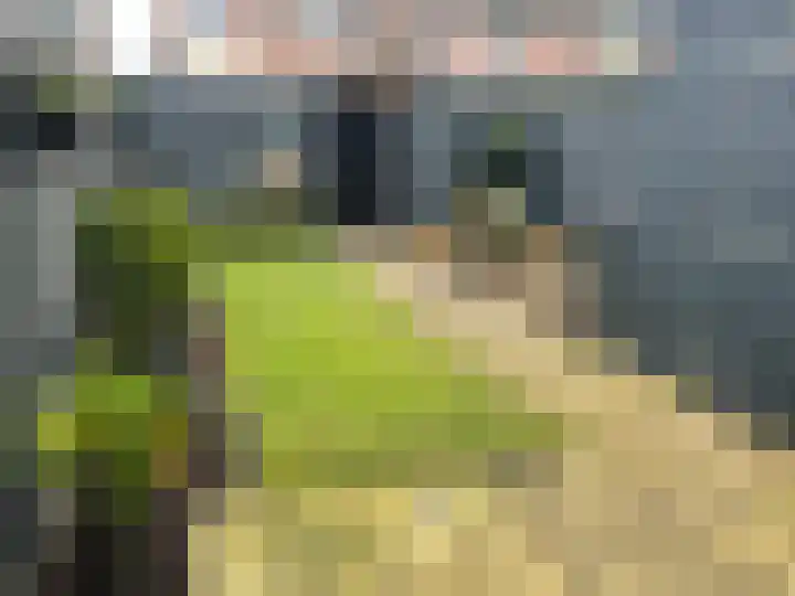 Botterhof 5 Harlingen thumbnail 6