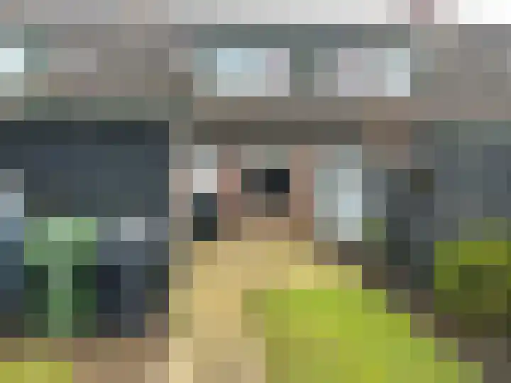 Botterhof 5 Harlingen thumbnail 7