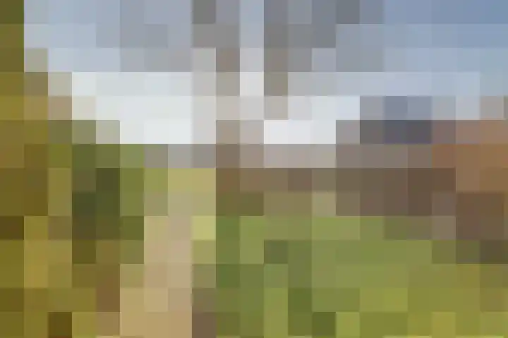 Botterhof 9 Harlingen thumbnail 32