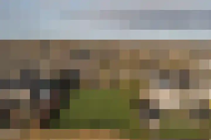Botterhof 9 Harlingen thumbnail 37