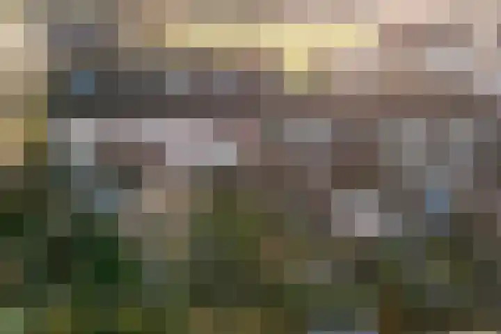 Botterhof 9 Harlingen thumbnail 38