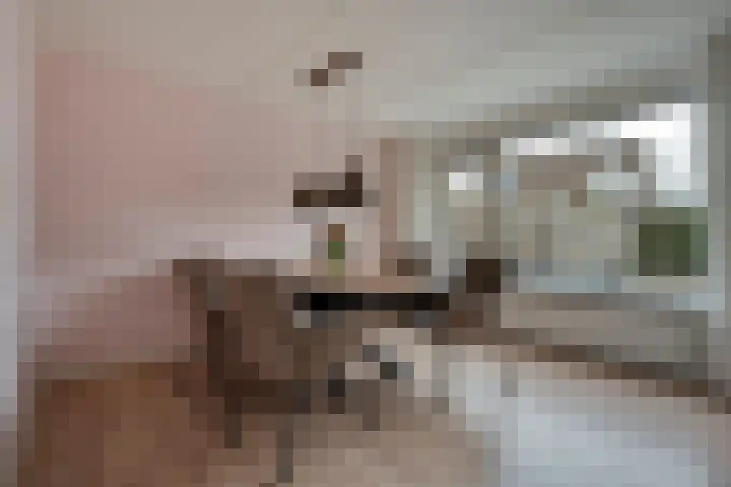 Botterkamp 19 Beilen thumbnail 10