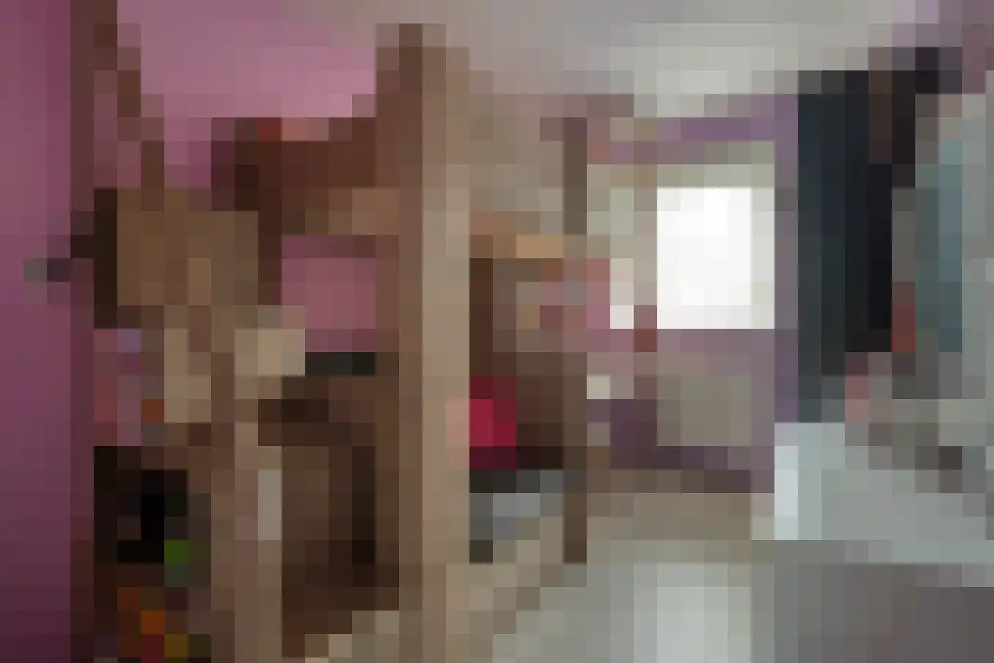 Botterkamp 19 Beilen thumbnail 30