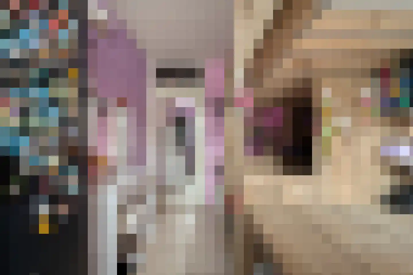 Botterkamp 19 Beilen thumbnail 31
