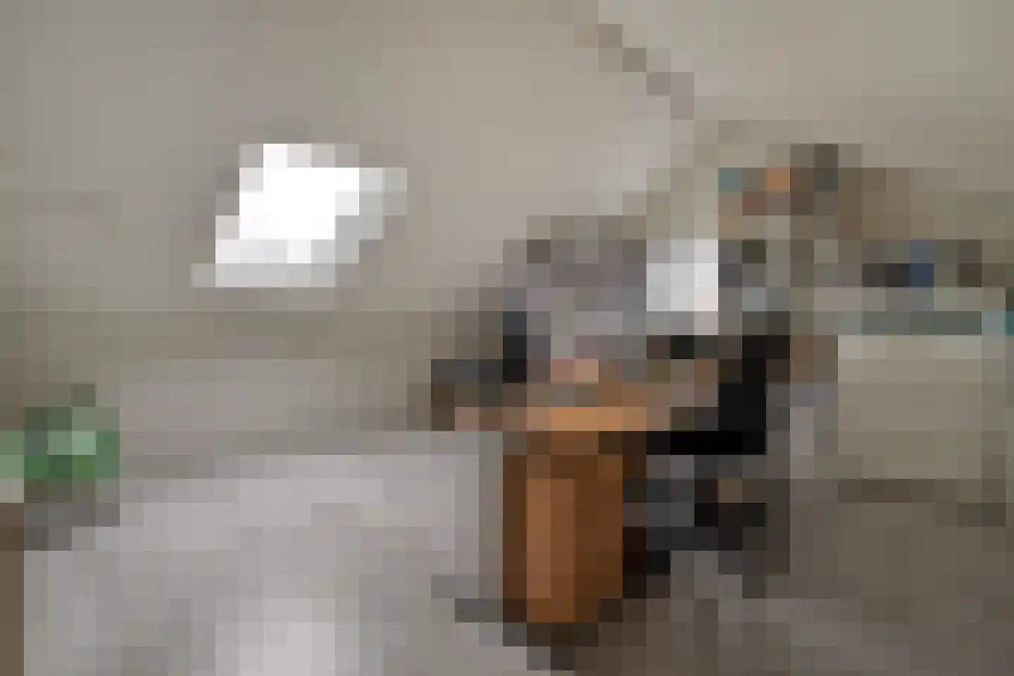 Botterkamp 19 Beilen thumbnail 33