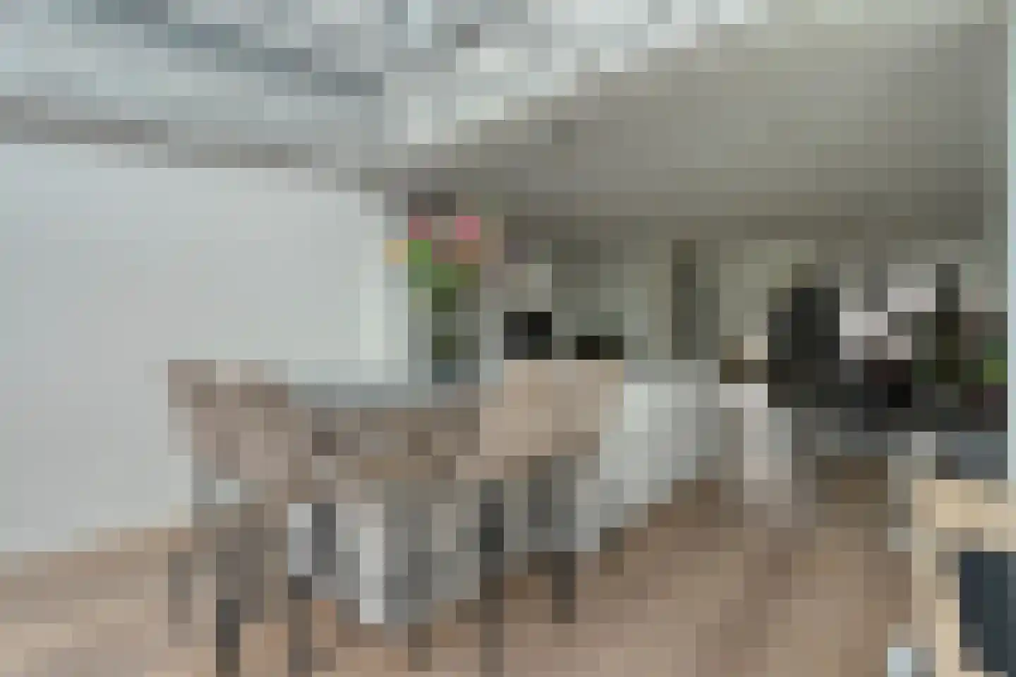Botterkamp 24 Beilen thumbnail 16