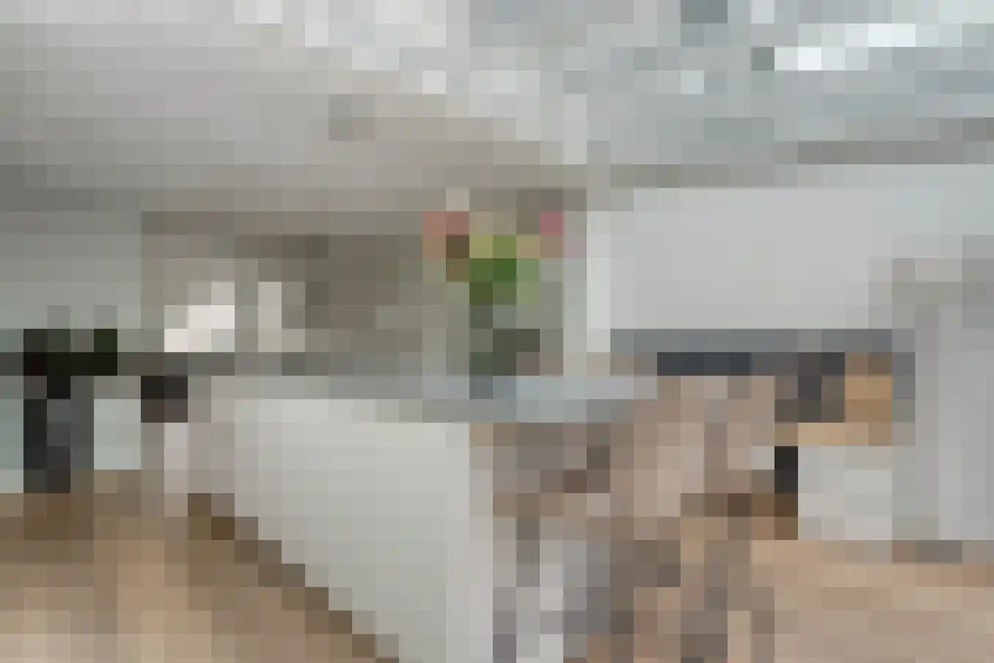 Botterkamp 24 Beilen thumbnail 17