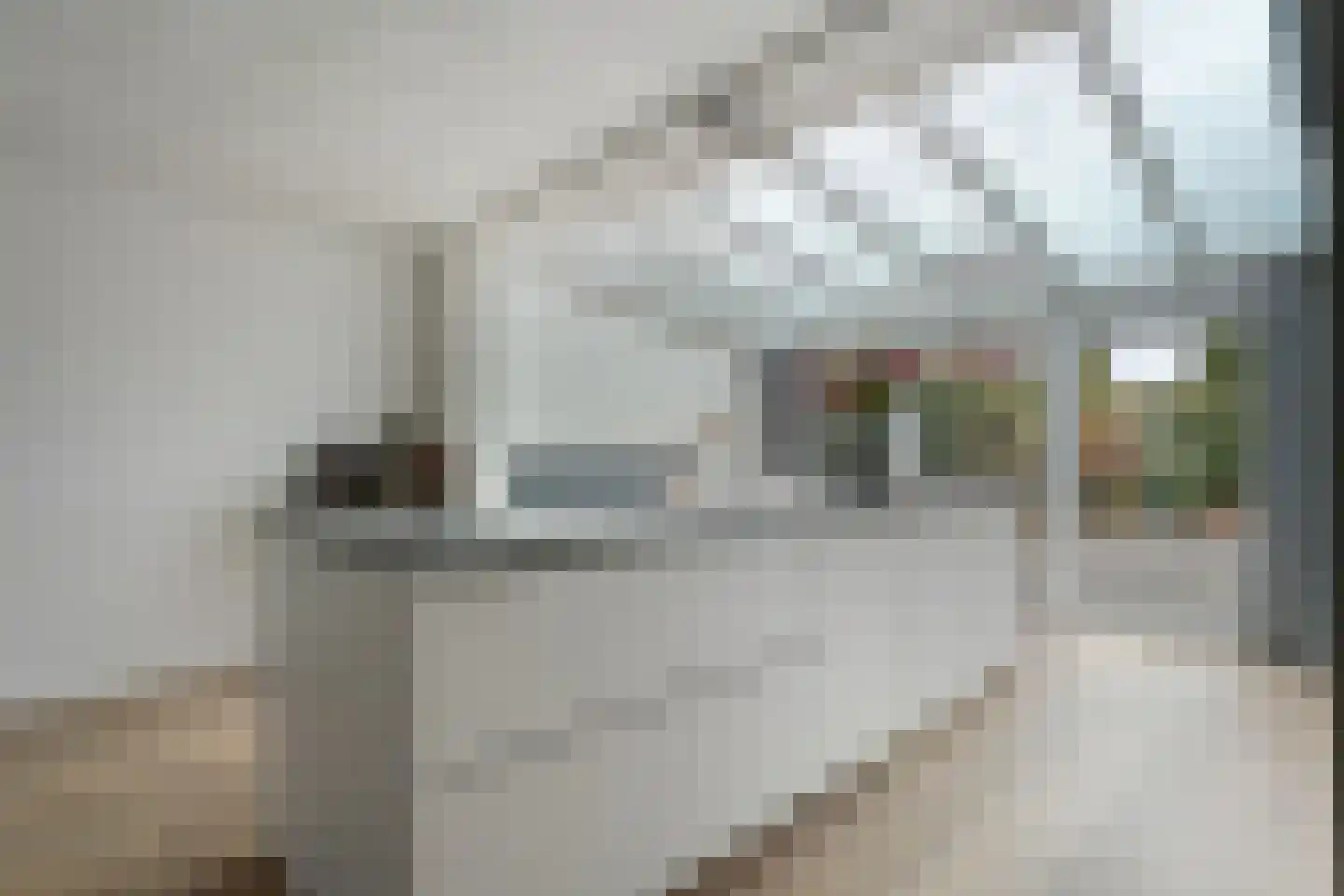 Botterkamp 24 Beilen thumbnail 18