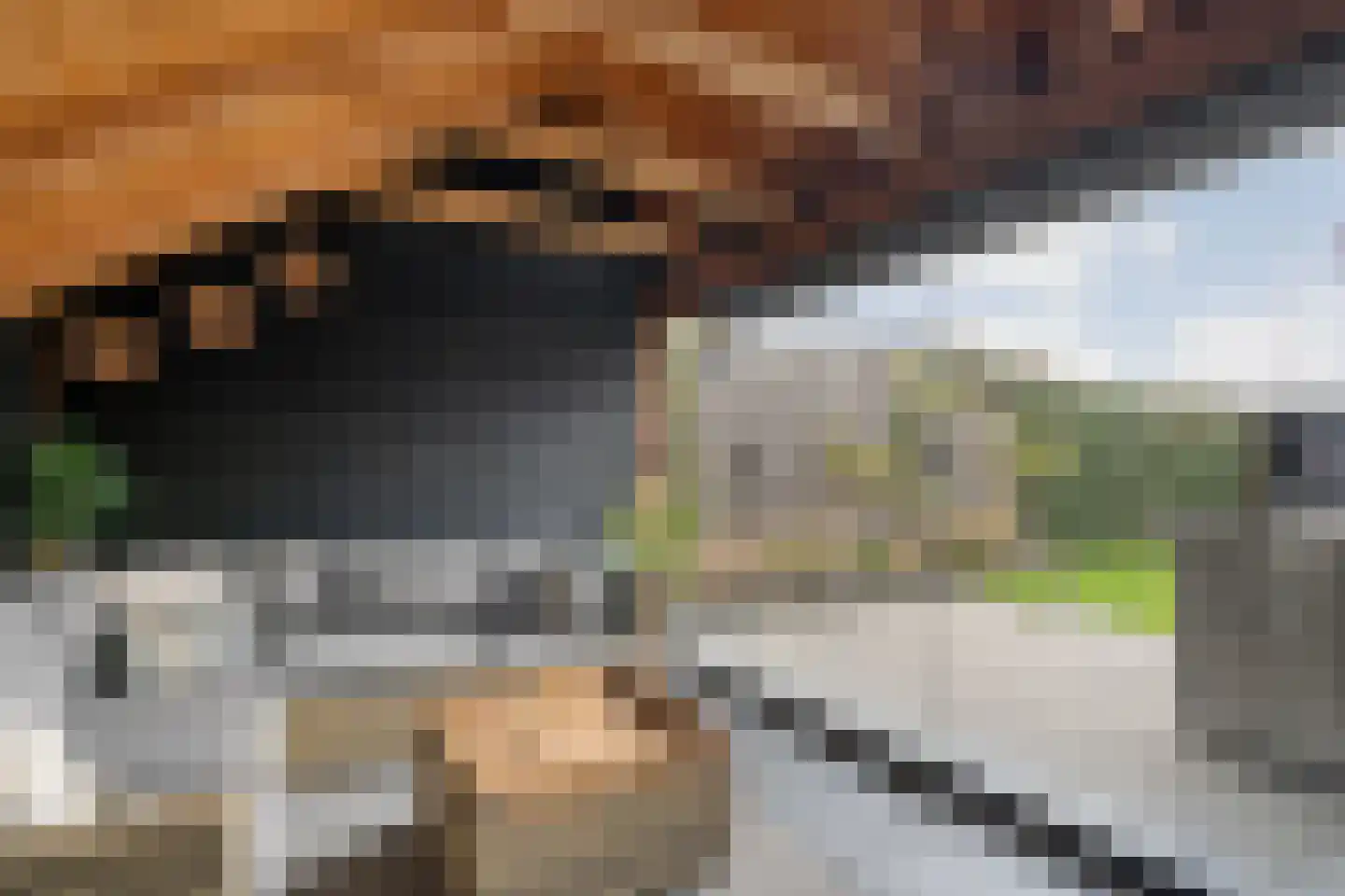 Botterkamp 24 Beilen thumbnail 53