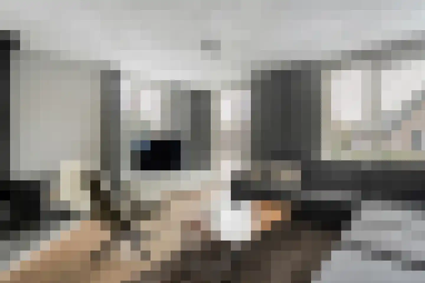 Botterkamp 24 Beilen thumbnail 7
