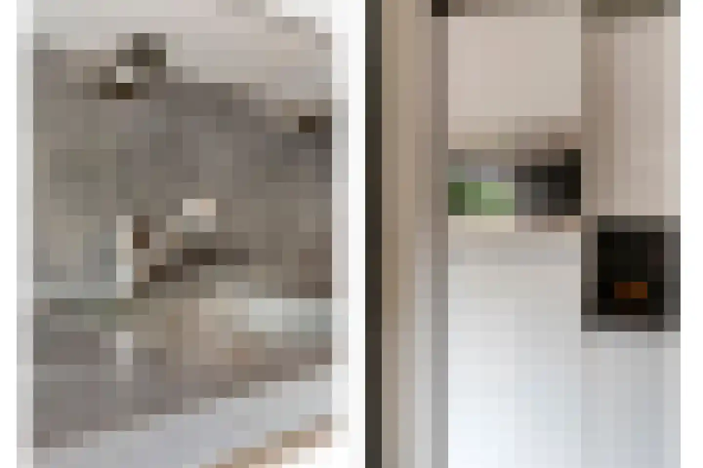 Botterkamp 25 Beilen thumbnail 13