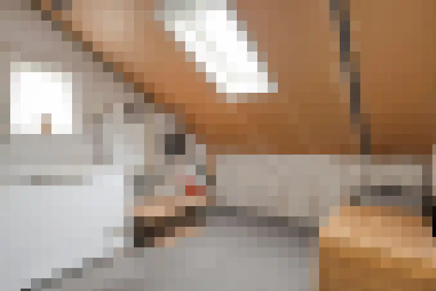 Botterkamp 25 Beilen thumbnail 27