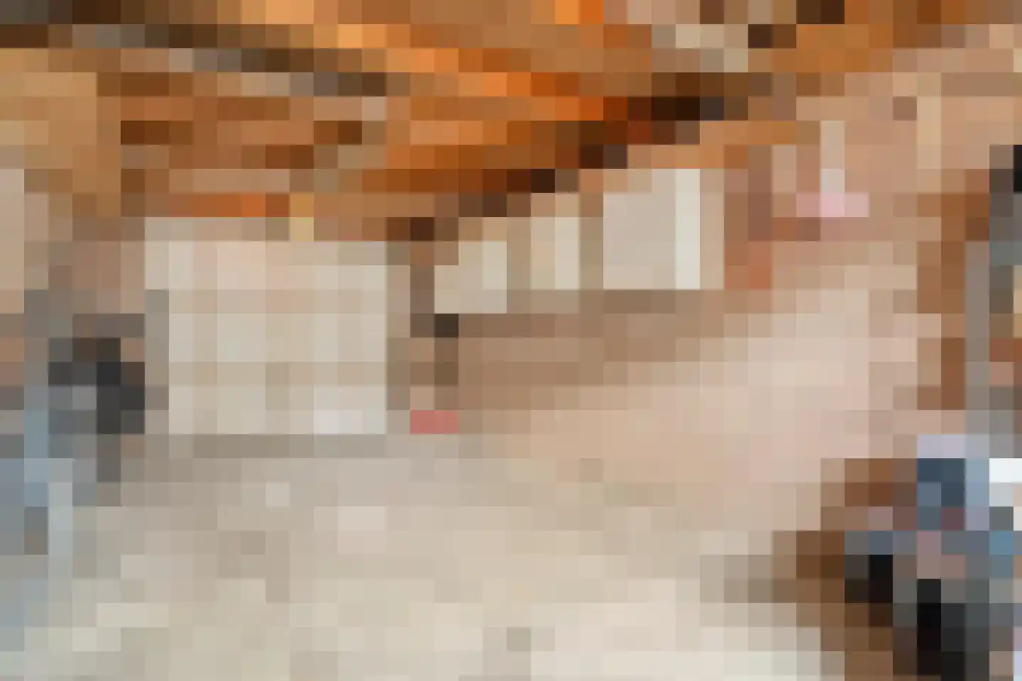 Botterkamp 25 Beilen thumbnail 34