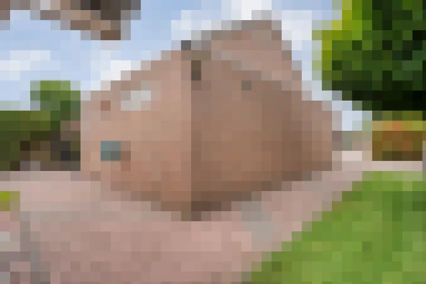 Botterkamp 25 Beilen thumbnail 37