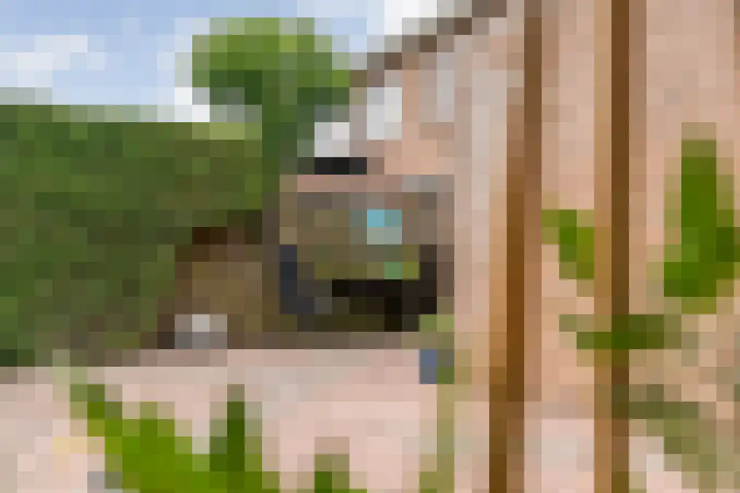 Botterkamp 25 Beilen thumbnail 44