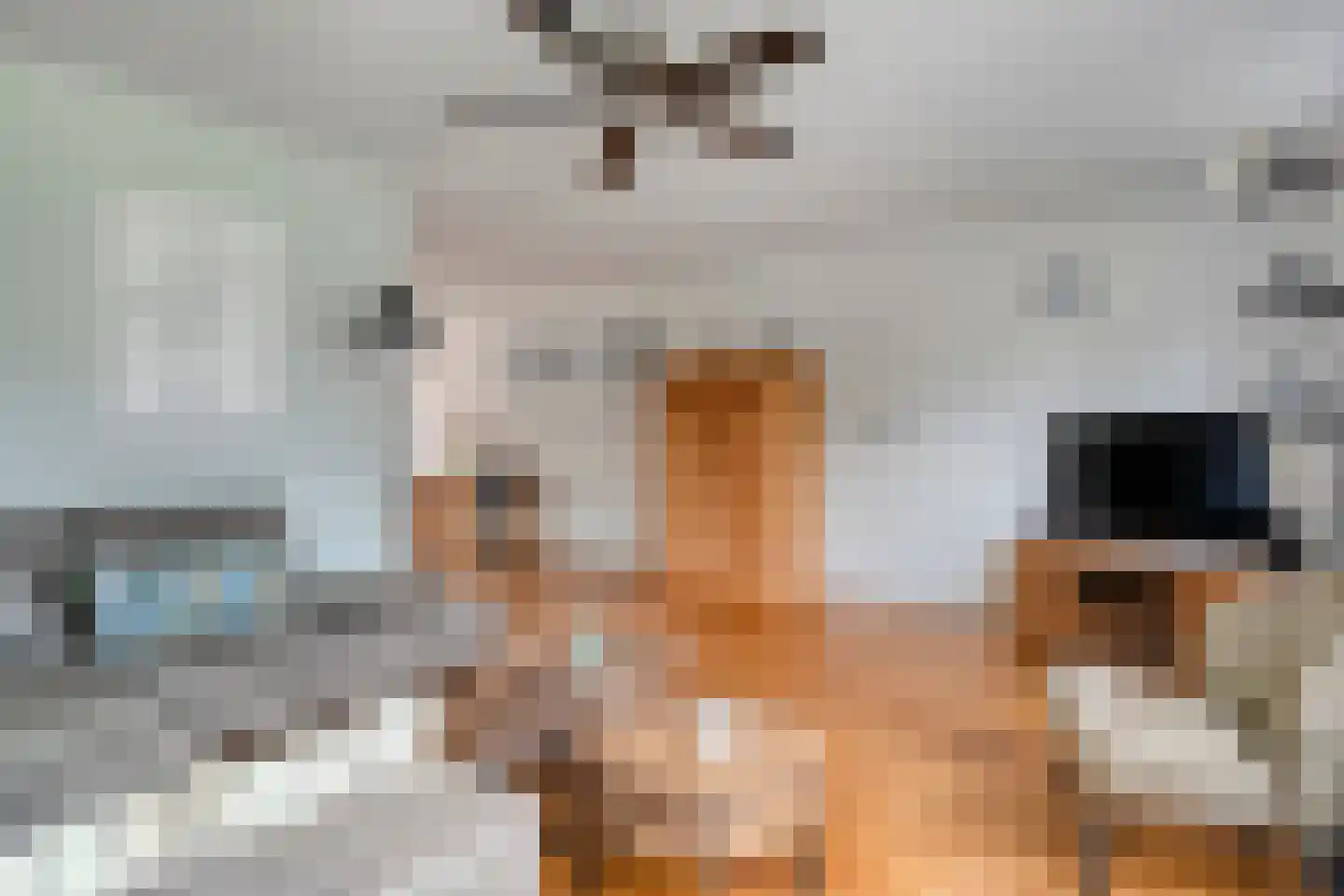 Botterkamp 25 Beilen thumbnail 6