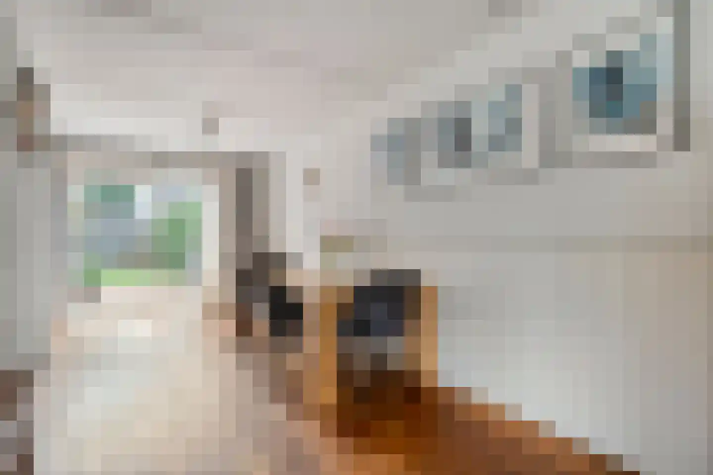 Botterkamp 25 Beilen thumbnail 8