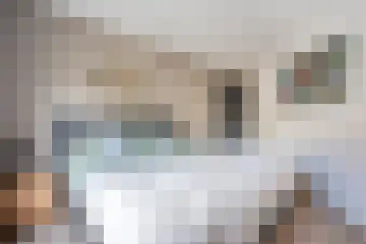 Botterkamp 6 Zuidwolde thumbnail 22