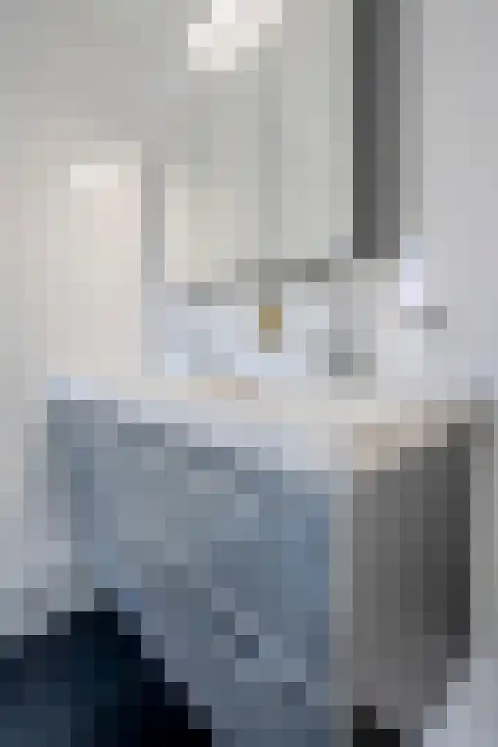 Botterkamp 6 Zuidwolde thumbnail 31