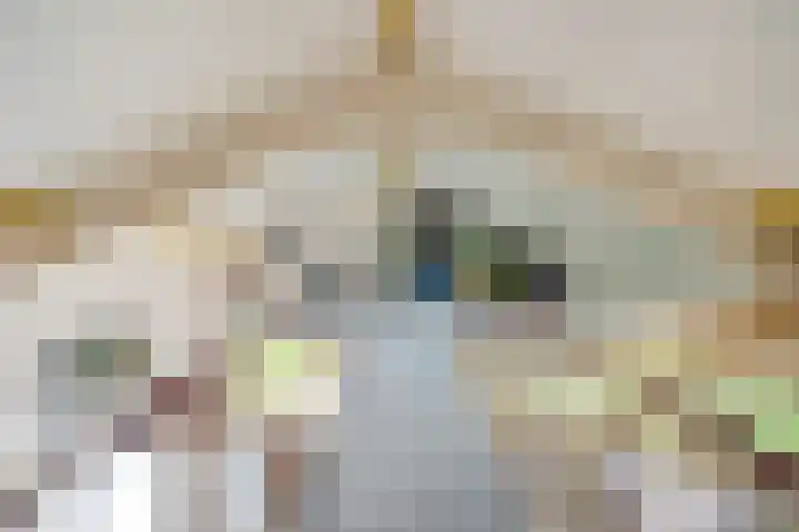 Botterkamp 6 Zuidwolde thumbnail 34