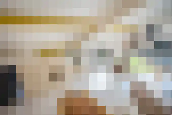 Botterkamp 6 Zuidwolde thumbnail 38