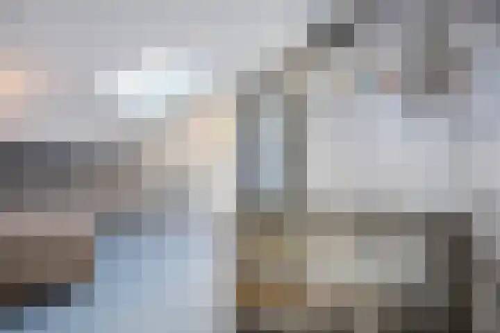 Botterkamp 6 Zuidwolde thumbnail 41