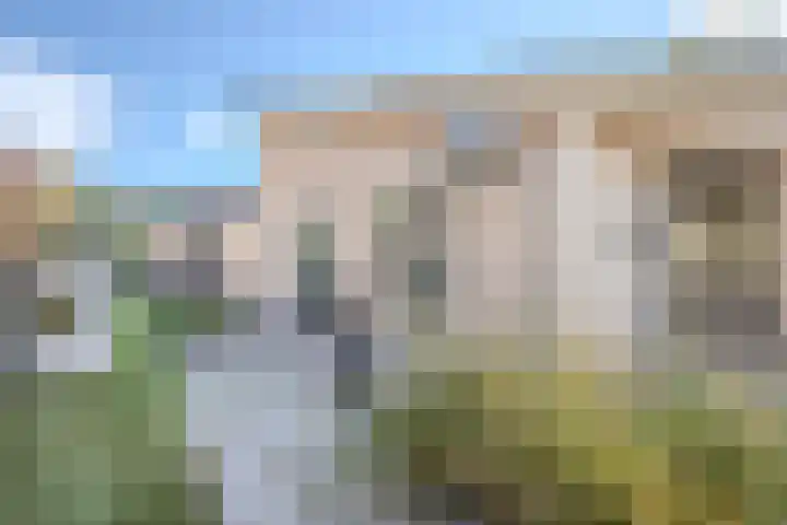 Botterkamp 6 Zuidwolde thumbnail 47