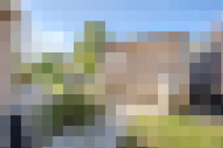 Botterkamp 6 Zuidwolde thumbnail 48