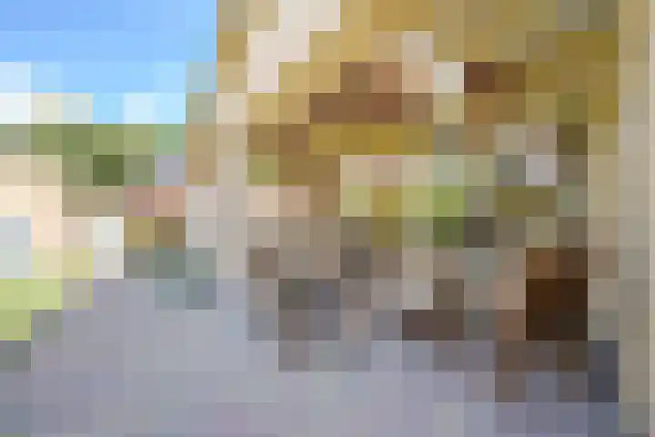 Botterkamp 6 Zuidwolde thumbnail 50