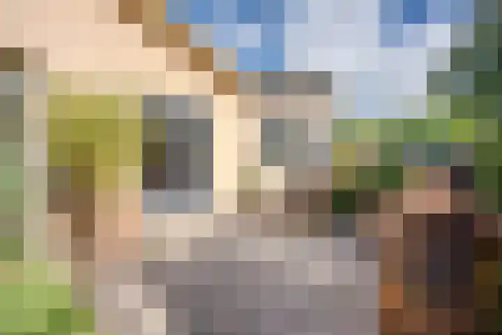 Botterkamp 6 Zuidwolde thumbnail 54